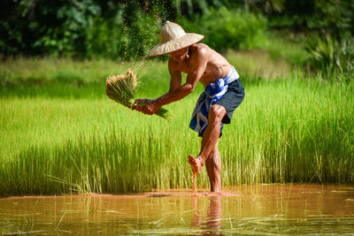 Shirtless man farming in water on field