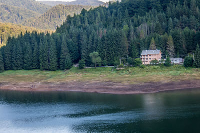 Scenic view of lake by trees and houses in forest