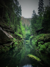 Scenic view of little house 