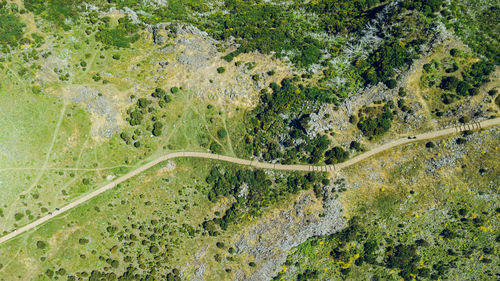 High angle view of road amidst fields