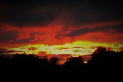 Silhouette trees against scenic sky