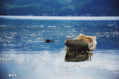 Abandoned boat sinking in river