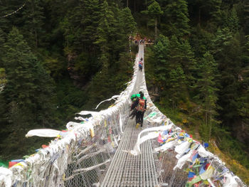 People on footbridge in forest