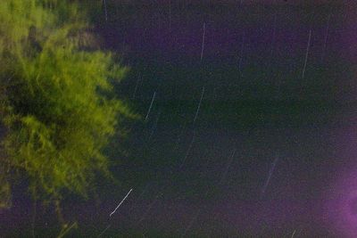 Low angle view of star field against star field