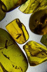 High angle view of yellow leaf on metal