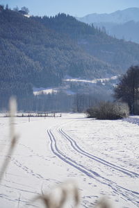 winter