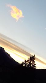 Silhouette trees against sky during sunset