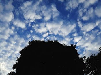 Low angle view of silhouette tree against sky