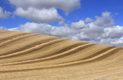 Scenic view of wheat field against cloudy sky