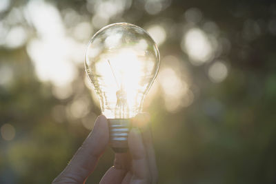 Close-up of hand holding light bulb against trees