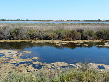 Scenic view of lake against clear sky