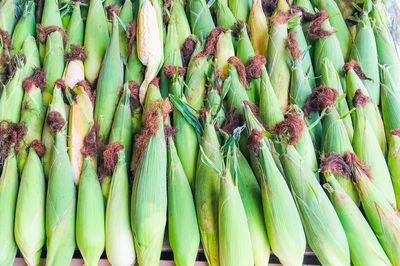 High angle view of vegetables for sale at market stall