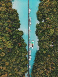 High angle view of plants by sea