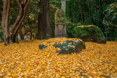 Statue in park during autumn