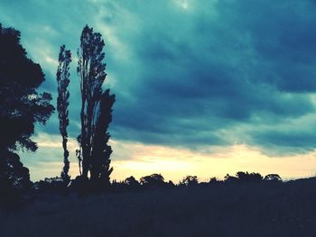 Silhouette trees against sky during sunset