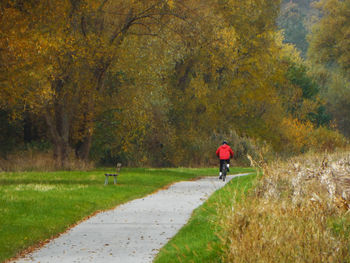 Man walking on road amidst trees