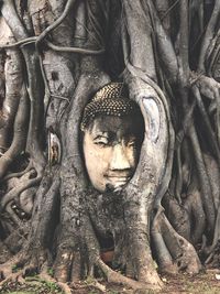 Statue of tree trunk