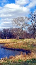 Bare trees on field by lake against sky