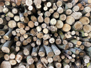 Full frame shot of logs