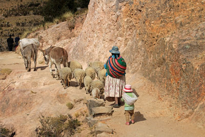 Rear view of man standing on rock