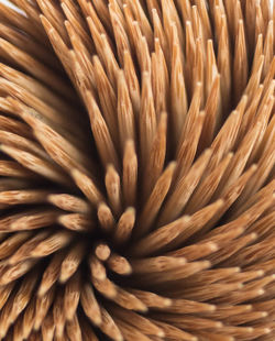 Full frame shot of flower basket