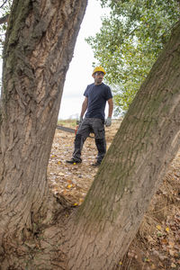 Low angle view of man holding chainsaw standing by tree trunk
