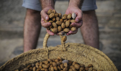 Close-up of man holding almonds in shell