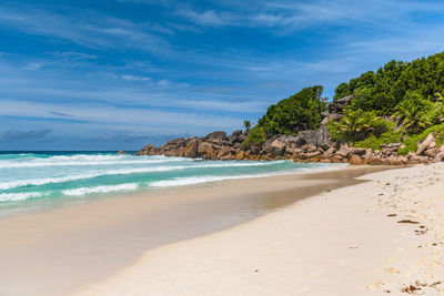 Idyllic tropical beach with sea waves and green palm trees on sunny day in summer.