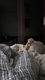 bed