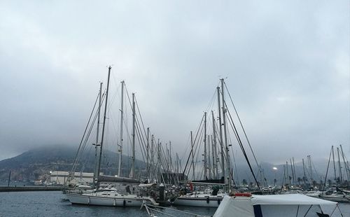 Sailboats moored in harbor