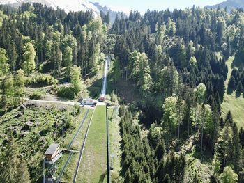 High angle view of trees and plants growing on land