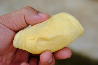 Close-up of person holding yellow hand