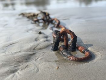 Close-up of rusty chain on beach