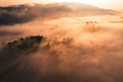 Scenic view of sunset