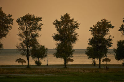 Trees on field against sky during sunset