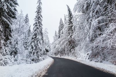 Road amidst trees against clear sky during winter