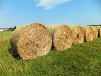 Hay bales on field