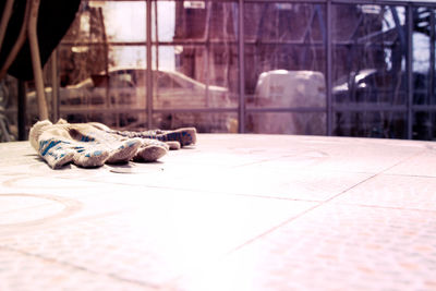 Close-up of shoes on tiled floor