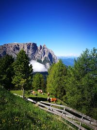 Scenic view of landscape against clear blue sky