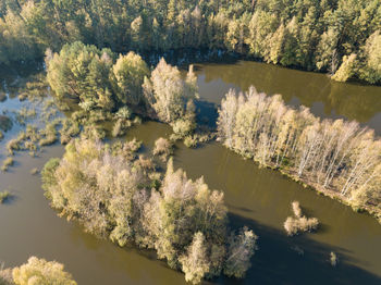 High angle view of trees by lake