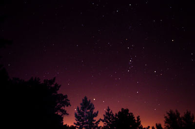 Low angle view of tree against sky