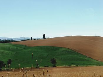 Scenic view of field against clear sky