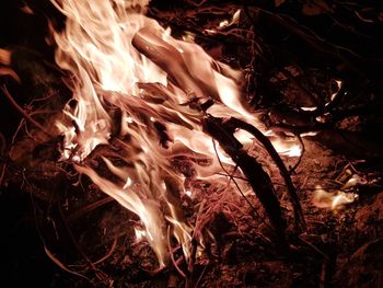 High angle view of fire on log at night