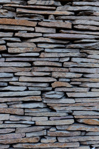 Full frame shot of wooden logs in forest