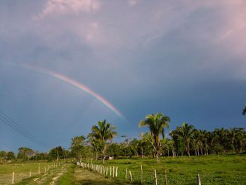 Scenic view of field against rainbow in sky