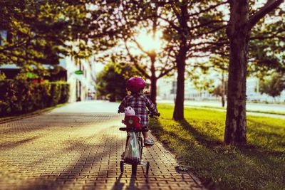 Rear view of boy riding bicycle