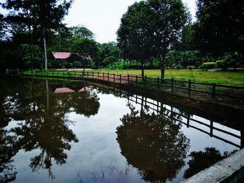 Reflection of trees in swimming pool against sky