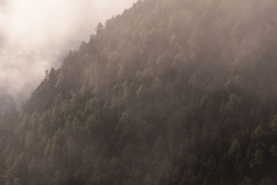 Scenic view of tree mountains against sky