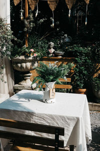 Potted plants on table