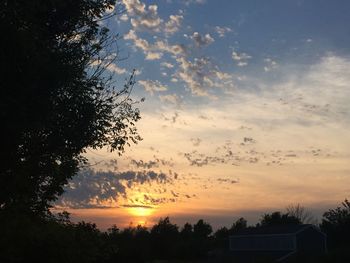 Silhouette of trees at sunset